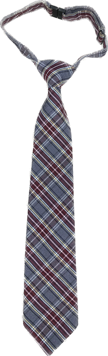 Plaid 43 Tie