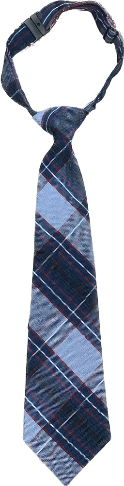 Plaid 82 Tie