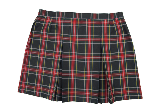 School Uniforms Skirt Plaid #63