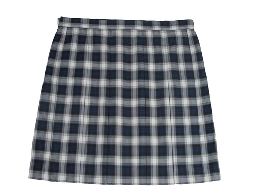 School Uniforms Skirt Plaid #82