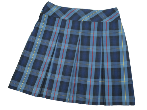 School Uniforms Skirt Plaid #41